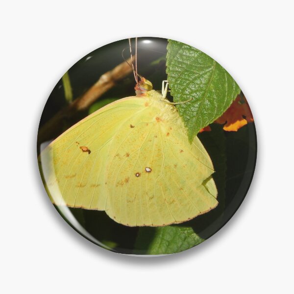 Item preview, Sulfur Butterfly designed and sold by subiesam1993.