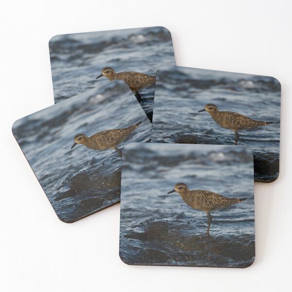 Item preview, Kolea Standing in the Water designed and sold by photosbypamela.