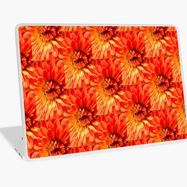 Tangerine Tunnel Laptop Skin