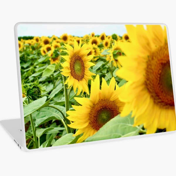 Item preview, Champ de tournesols en France designed and sold by HHLifestyleTrav.