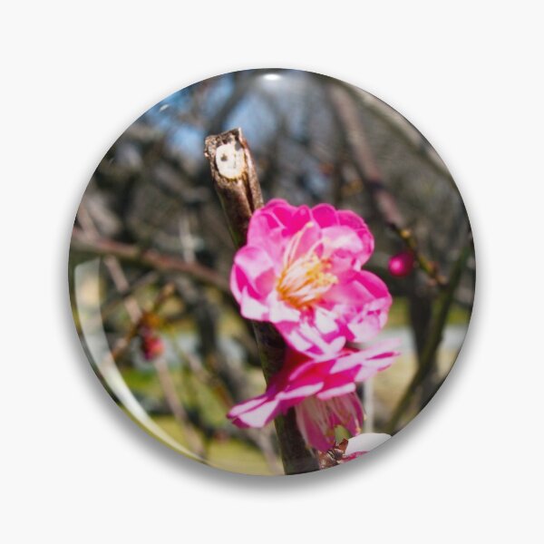 Artikelvorschau, Das erste Zeichen einer Pflaumenblüte entworfen und verkauft von Karolien Kenis.