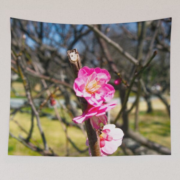 Item preview, The first sign of plum blossom  designed and sold by Karolien Kenis.