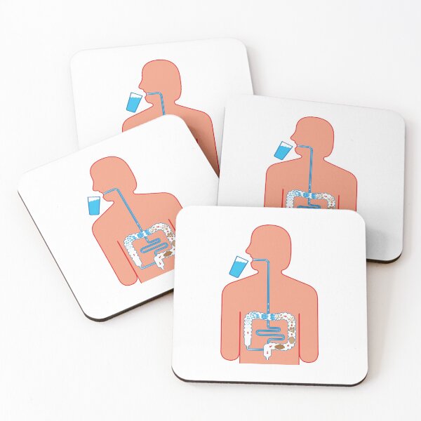 Item preview, Illustration of the human digestive system, and fecal bolus formation and elimination. Ideal for training and education materials designed and sold by LucianoCosmo.