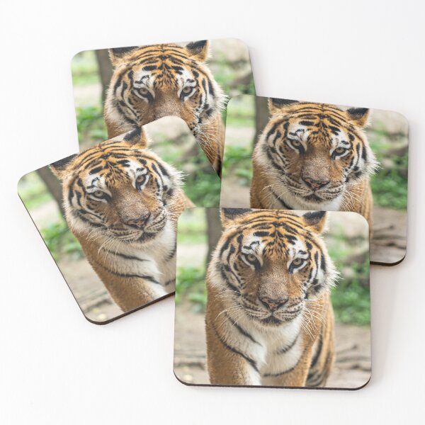 Item preview, Wild Tiger  designed and sold by newburyboutique.