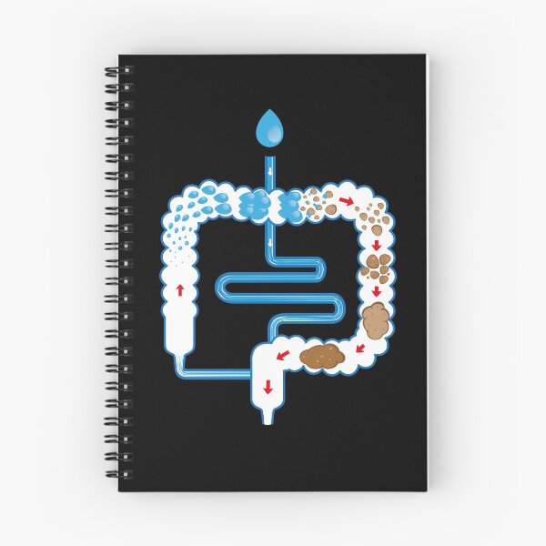 Item preview, Illustration of the human digestive system, and fecal bolus formation and elimination. Ideal for training and education materials designed and sold by LucianoCosmo.