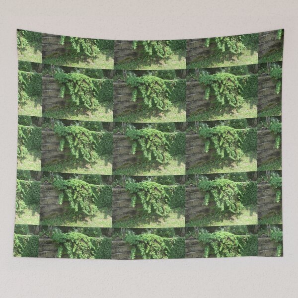 Item preview, Plants Hanging over a Wall designed and sold by Mariann Moritz.