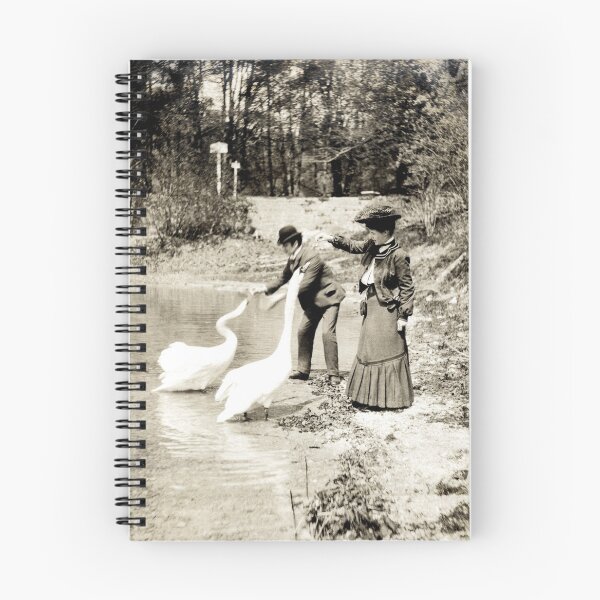 Item preview, 1890 Feeding Swans in Paris designed and sold by retrophotoworks.