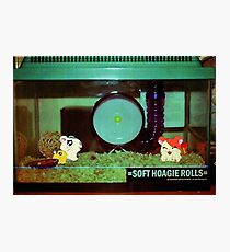 Hamtaro, Oxnard & Penelope (Hamtaro) Photographic Print