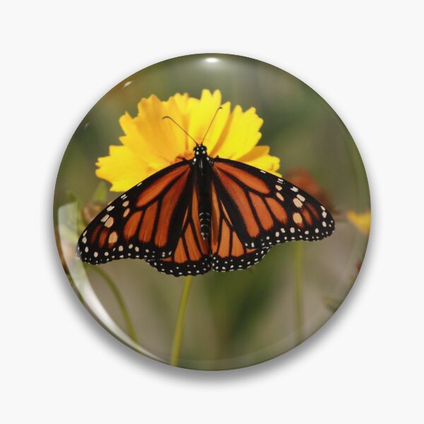 Item preview, Sunning Monarch designed and sold by aflutter.