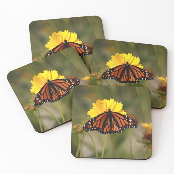 Item preview, Sunning Monarch designed and sold by aflutter.