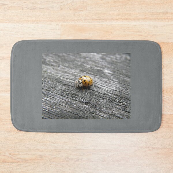 Item preview, Harlequin Ladybird on a Wooden Fence Photograph designed and sold by naturegallery.