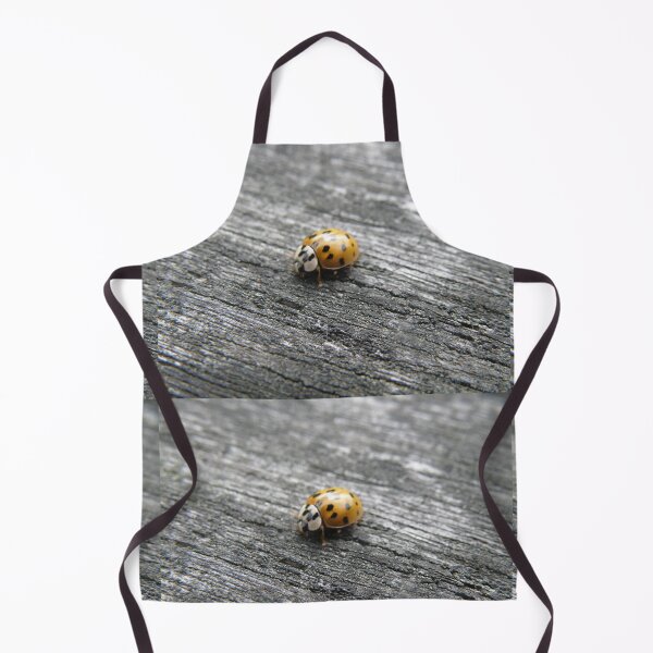 Item preview, Harlequin Ladybird on a Wooden Fence Photograph designed and sold by naturegallery.