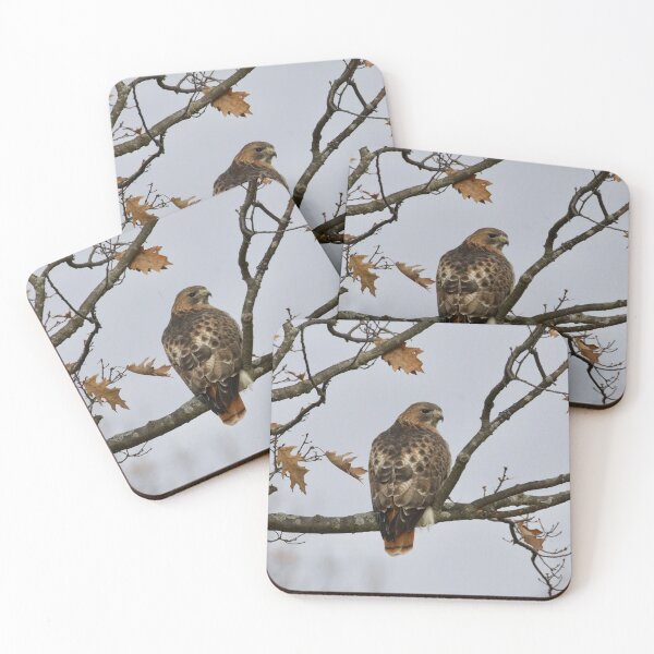 Item preview, Red tail hawk late fall  designed and sold by slgphotography.
