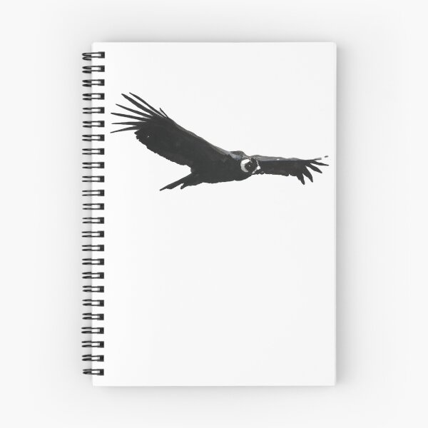Item preview, Chilean condor painted in watercolor designed and sold by Daniela Ponzini Montes.