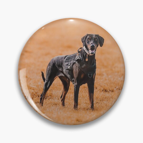Artikelvorschau, Dobermann | Zoe entworfen und verkauft von Colclough &Canine.