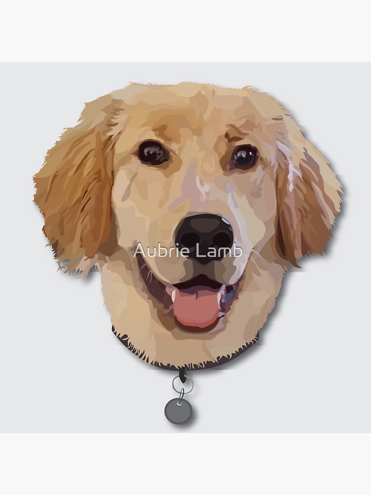 Golden Retriever by Aubb