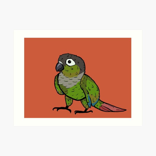 Green Cheek Conure Art Prints Redbubble