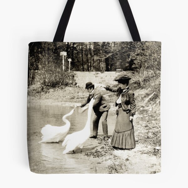 Item preview, 1890 Feeding Swans in Paris designed and sold by retrophotoworks.