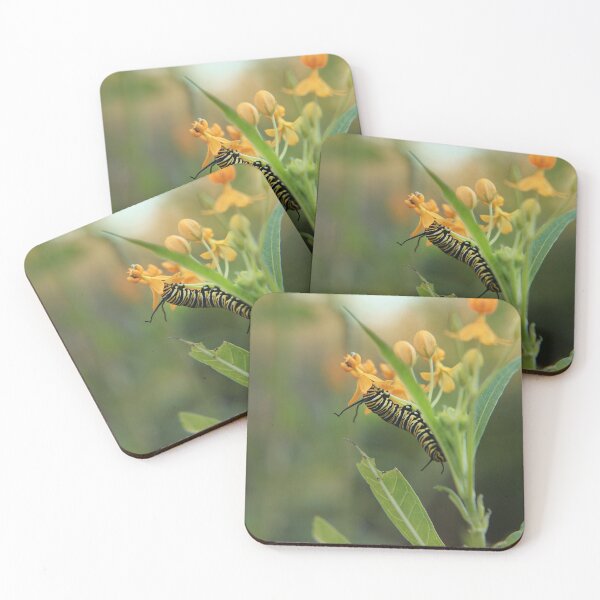 Item preview, Munching monarch caterpillar designed and sold by aflutter.