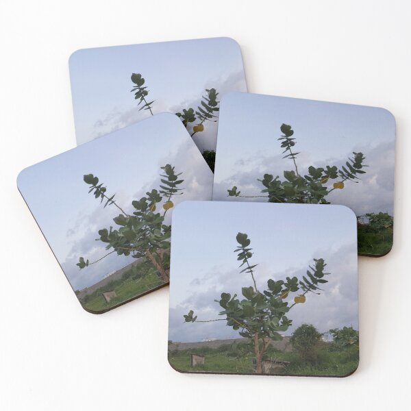 Item preview, BOOM designed and sold by diawarma.