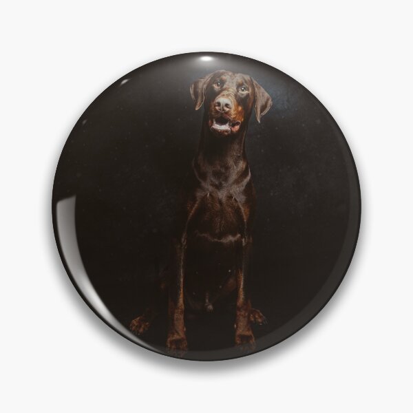 Artikelvorschau, Dobermann | Enzo entworfen und verkauft von Colclough &Canine.