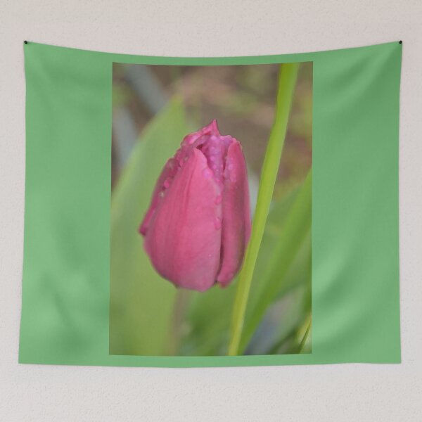 Item preview, Pretty pink tulip flower in green background designed and sold by naturematters.