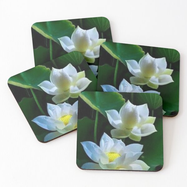 Item preview, Hermosa flor de loto blanco. designed and sold by Lan thi Nguyen.