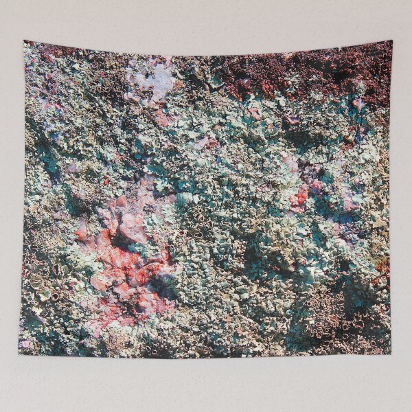 Item preview, Lichen designed and sold by bradm50.