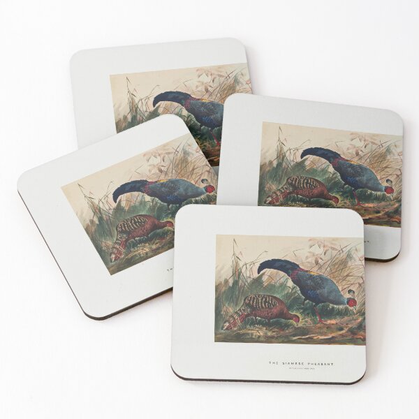 Item preview, Zoological sketches by Joseph Wolf 1861 to 1867 085 The Siamese Pheasant designed and sold by WetdryvacRB01.