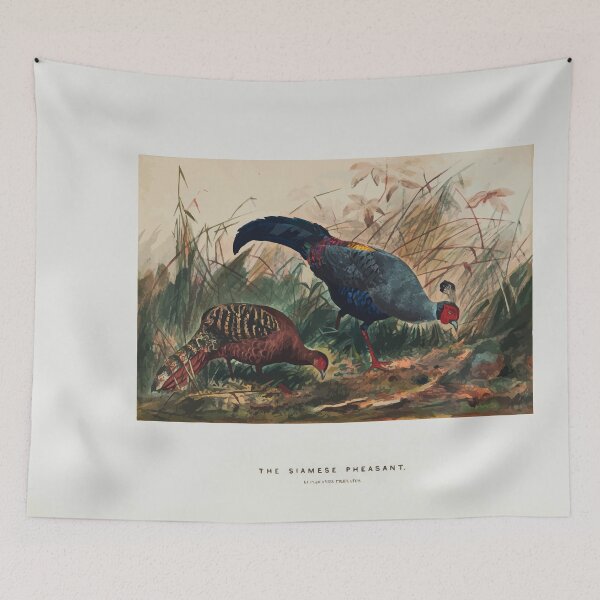Item preview, Zoological sketches by Joseph Wolf 1861 to 1867 085 The Siamese Pheasant designed and sold by WetdryvacRB01.