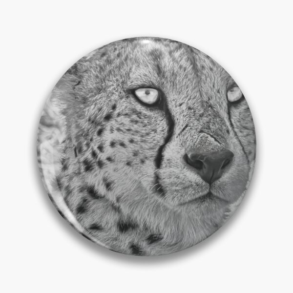 Item preview, Relaxing Leopard Monochrome designed and sold by Six Directions  Photography.