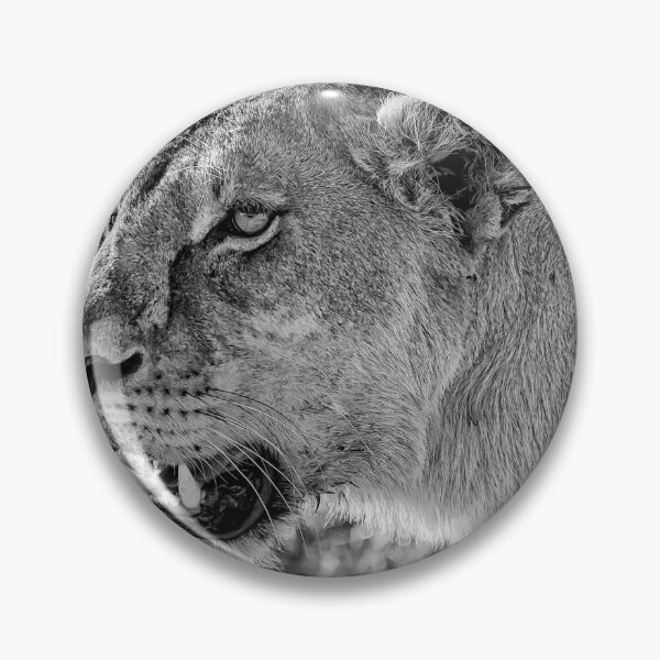 Item preview, Lioness on the Prowl Monochrome designed and sold by Six Directions  Photography.