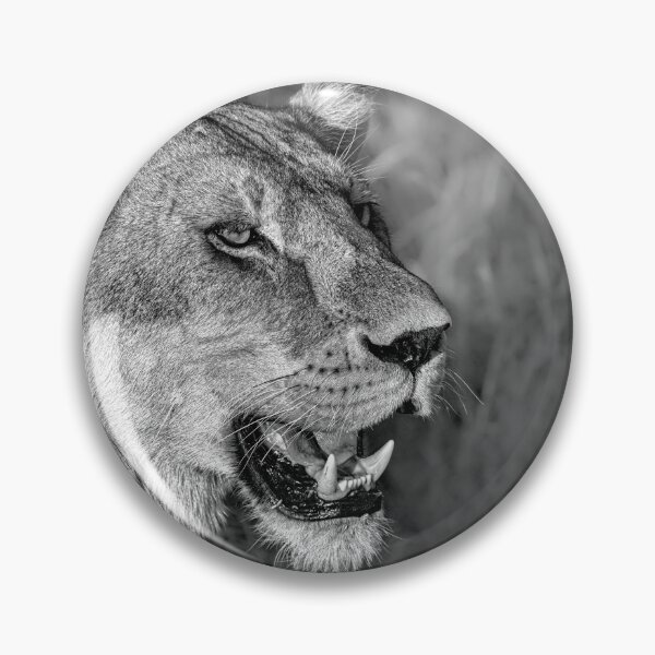 Item preview, Lioness Monochrome designed and sold by Six Directions  Photography.