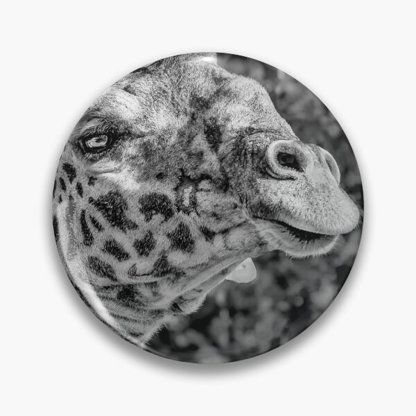 Item preview, Giraffe Monochrome designed and sold by Six Directions  Photography.
