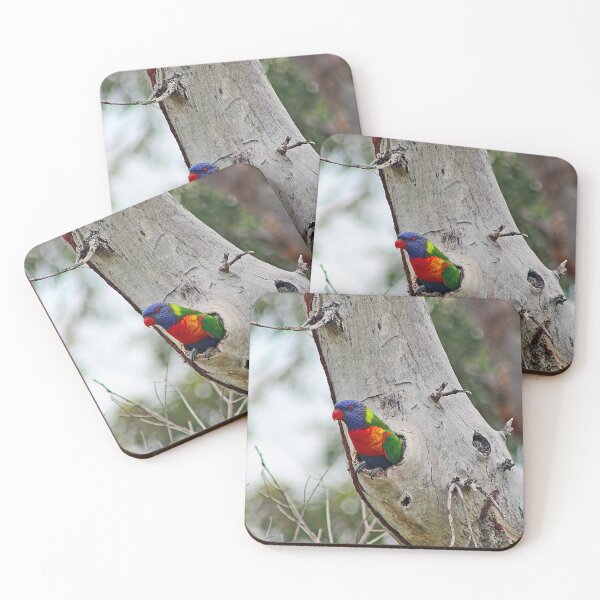 Item preview, Rainbow Lorikeet designed and sold by bradm50.
