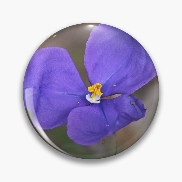 Item preview, Patersonia sericea (Native Iris) designed and sold by Robert Elliott.