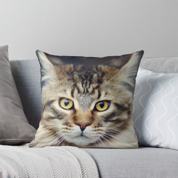 Item preview, cat 2 designed and sold by Snicel69.