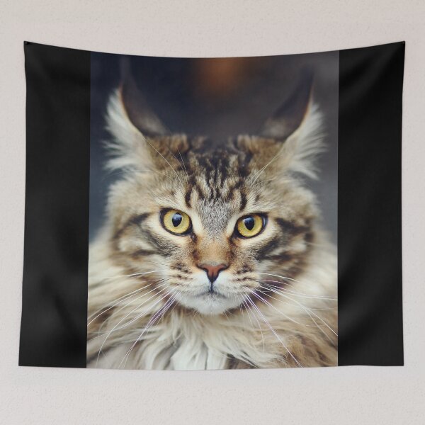 Item preview, cat 2 designed and sold by Snicel69.