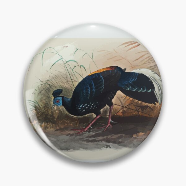 Item preview, Zoological sketches by Joseph Wolf 1861 to 1867 086 Vieillot's Fire Backed Pheasant designed and sold by WetdryvacRB01.