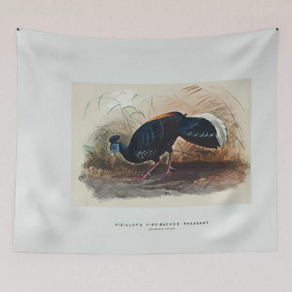 Item preview, Zoological sketches by Joseph Wolf 1861 to 1867 086 Vieillot's Fire Backed Pheasant designed and sold by WetdryvacRB01.