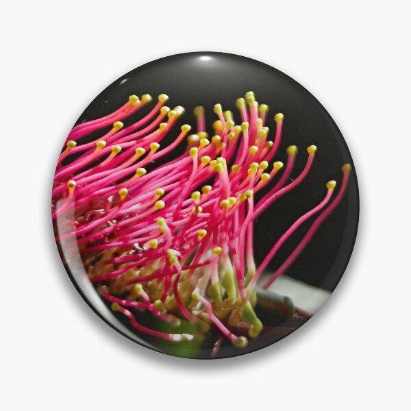 Item preview, Grevillea longifolia designed and sold by Robert Elliott.