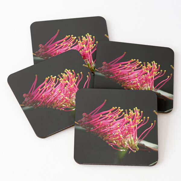 Item preview, Grevillea longifolia designed and sold by Robert Elliott.
