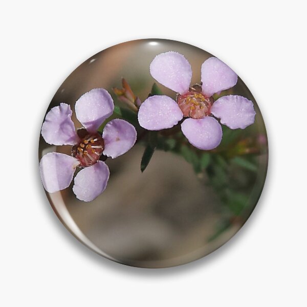 Item preview, Euromyrtus ramosissima (Rosy Heath-Myrtle) designed and sold by Robert Elliott.