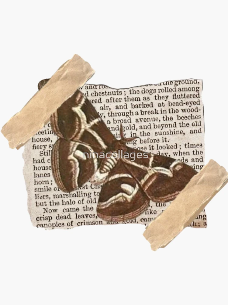 Newspaper Greenery- dark academia collage Sticker for Sale by ninacollages