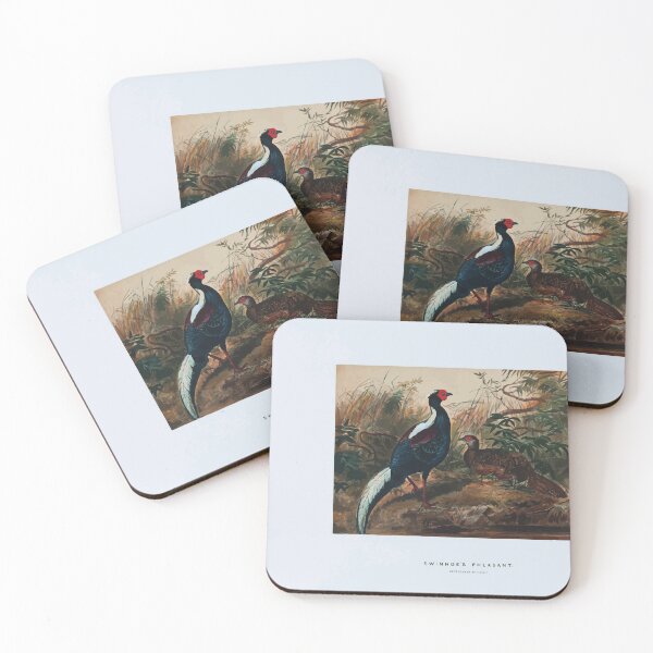 Item preview, Zoological sketches by Joseph Wolf 1861 to 1867 087 Swinhoe's Pheasant designed and sold by WetdryvacRB01.