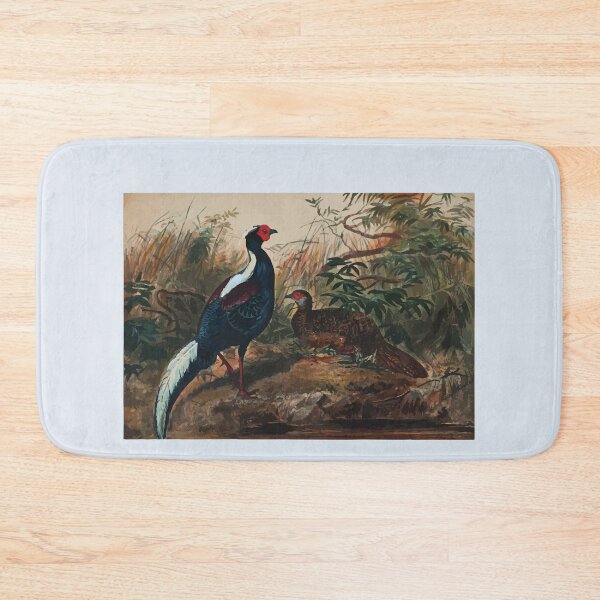 Item preview, Zoological sketches by Joseph Wolf 1861 to 1867 087 Swinhoe's Pheasant designed and sold by WetdryvacRB01.