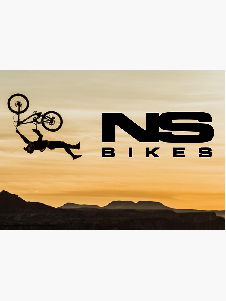 Ns bikes hot sale downhill