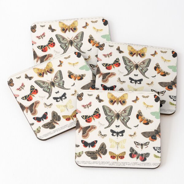 Item preview, Butterflies and Moths (1880) - Biological Illustration designed and sold by SALON DES ARTS.
