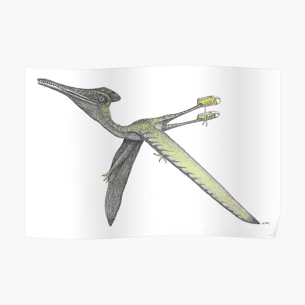 Pterodactyl in sneakers Poster
