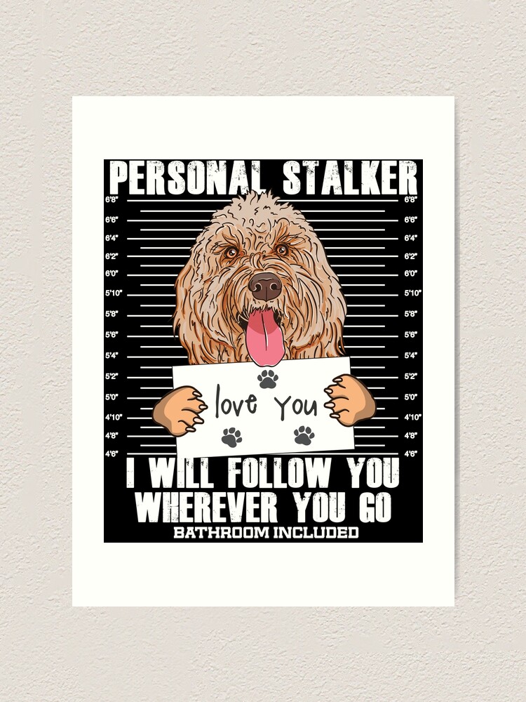 Funny sales goldendoodle pictures